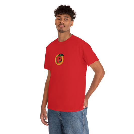 Kanha Avtaar Printed Tshirt