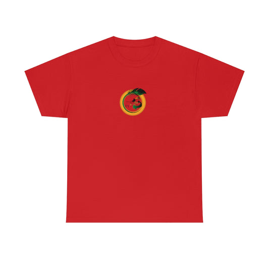 Kanha Avtaar Printed Tshirt